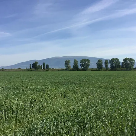 Willa Casale Morotti