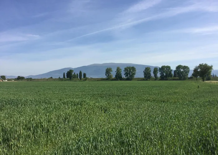 Villa Casale Morotti