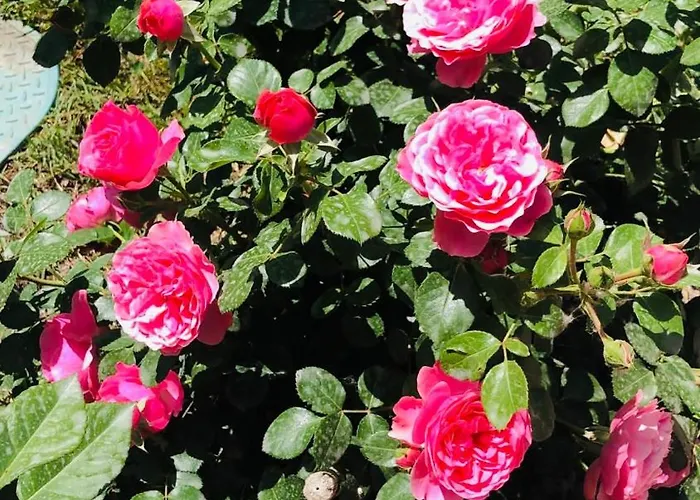 Willa Casale Morotti Bevagna